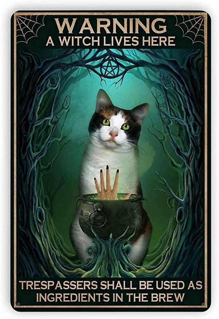 Bonoff Kitten Warning A Witch Lives Here Garage Man Cave Ation Ign Novelty And Interesg Bathroomation Vintage Decor Poster Wall Art Decor Metal Sign Poster 8X12 Inches