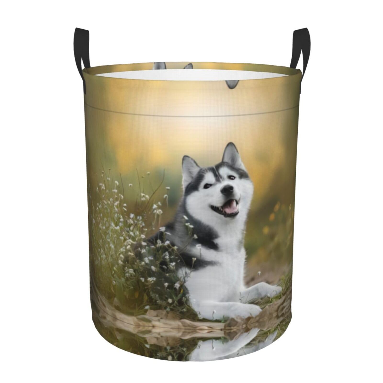M Circular Hamper – Collapsible Cute Husky Dogs Print Laundry Basket
