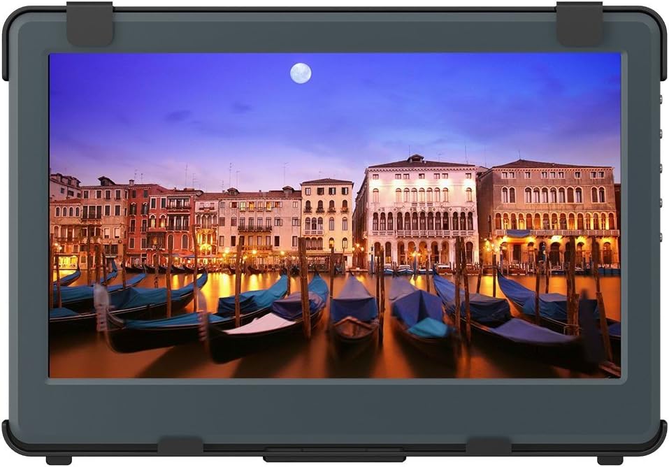 Gechic 1102H battery powered Monitor