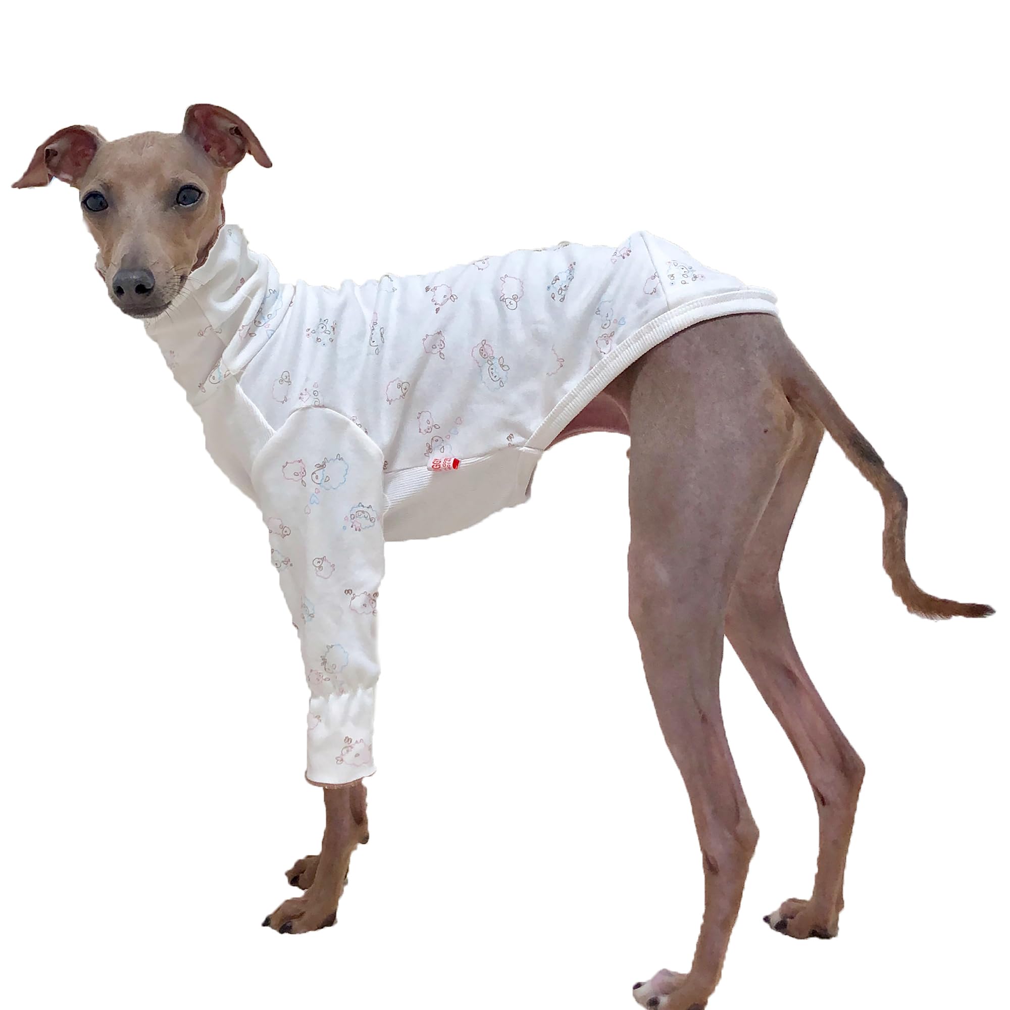 D Doggy Star Italian Greyhound Clothes Pajama T Shirts Whippet for Dogs (M,Pajama T) โ image 1