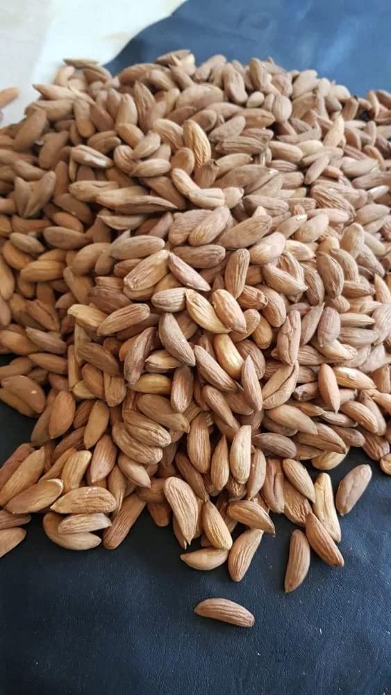 See full amazon price history chart for PYRAMID TRADERS Gurbandi Almonds (Choti Badam Giri) - Raw, 1 Kg PYRAMID TRADERS Gurbandi Almonds (Choti Badam Giri) - Raw, 1 Kg (B0BTD7SN46) Amazon Price History, Amazon Price Tracker