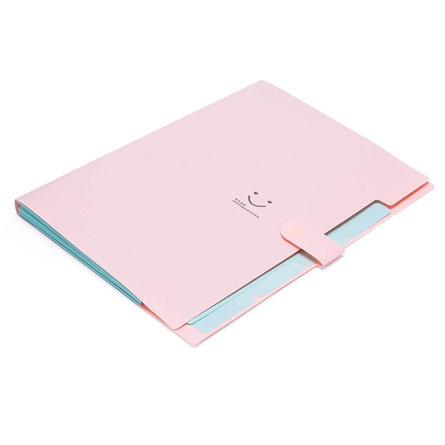 Expandable Portable HandHeld Accordion File Document Folder Cute