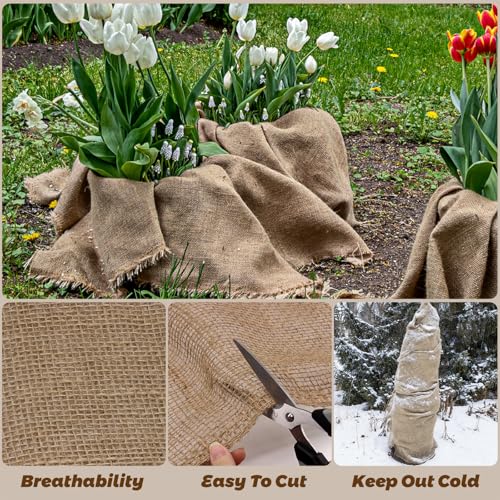 La Mejor Lista de Rollos de tela disponible en línea para comprar. 6 Imagen adicional