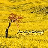 Sons du printemps: Calmer les sons de la nature, Énergie d'avril, Prairies célestes, Détente printanière, Yoga du printemps sur l'herbe