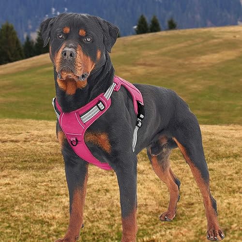 Miniatura 6 de Arnés táctico para perros pequeños, medianos y grandes, arnés de chaleco reflectante ajustable sin tirones con hebilla y mango de metal, arnés de