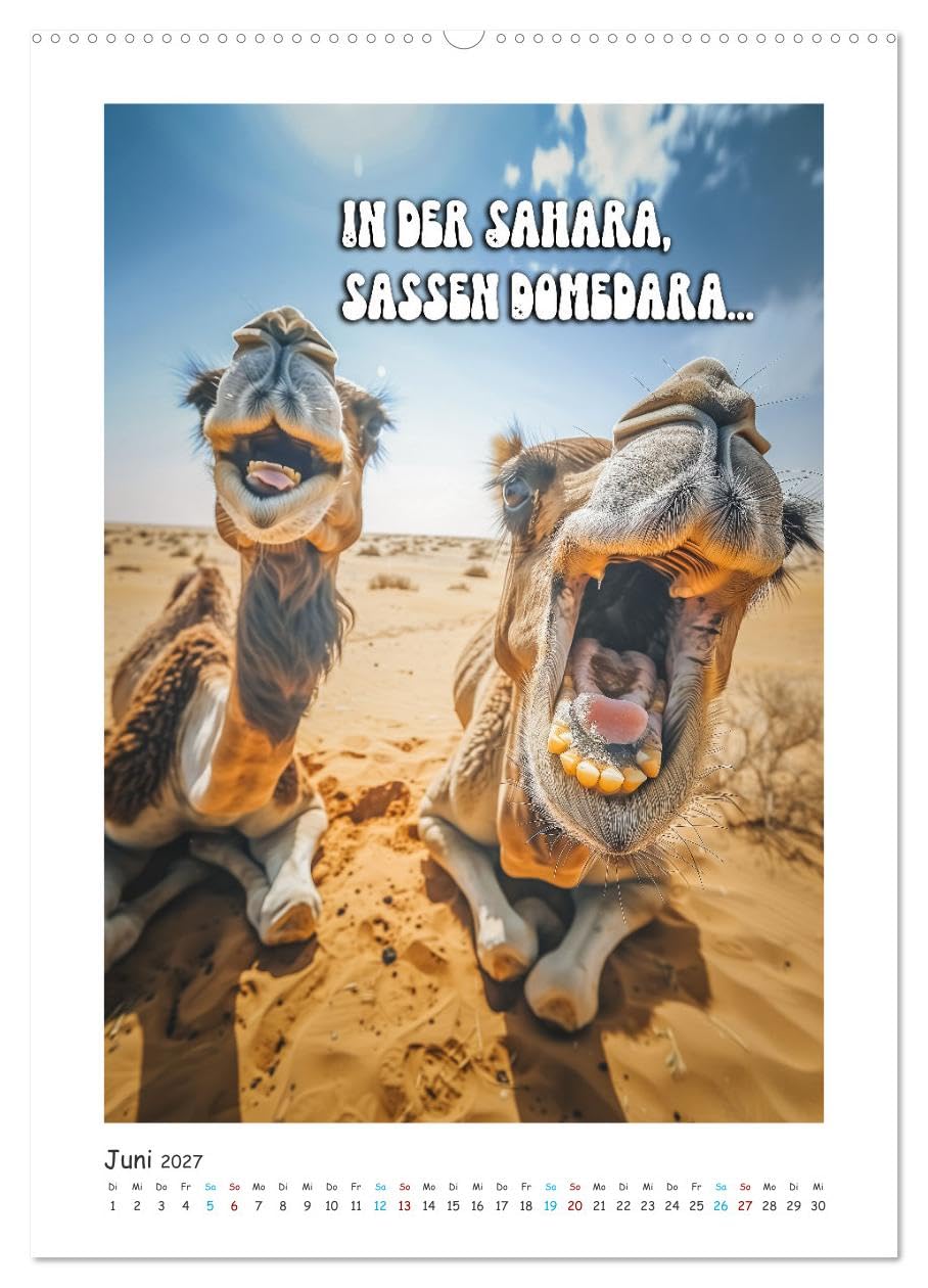 CALVENDO - Lach Dich fit ! (Wandkalender 2027 DIN A2 hoch), Monatskalender: Egal, ob Sie einen stressigen Tag im Büro haben oder einfach nur Ihre tägliche Dosis Humor genießen möchten – dieser Kalende
