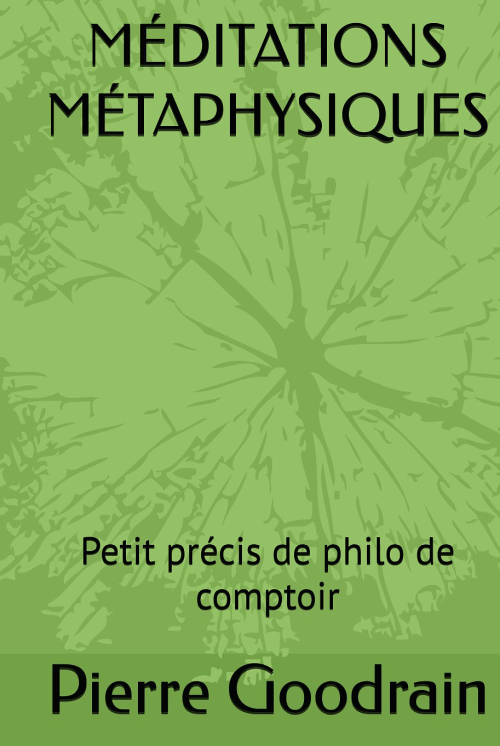 MÉDITATIONS MÉTAPHYSIQUES: Petit précis de philo de comptoir