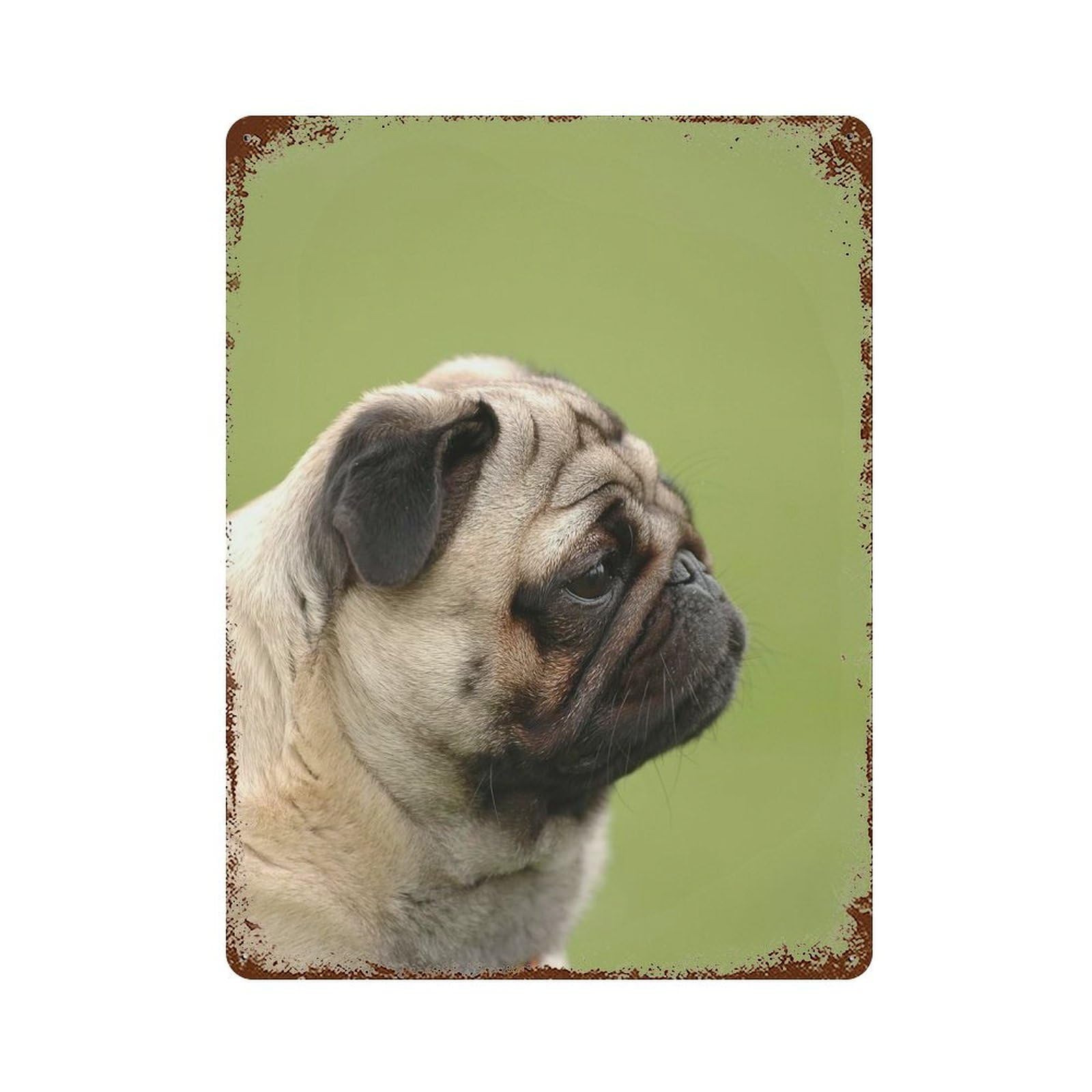 Pug Dog Rust Effect Tin Sign 15.7"x11.8", Ideal for Shed, Workshop And Garage Wall Decor