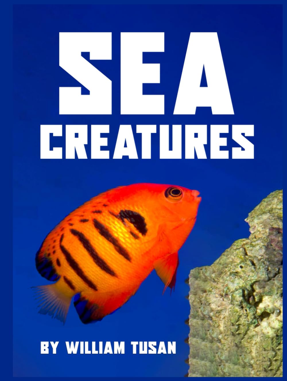 SEA CREATURES