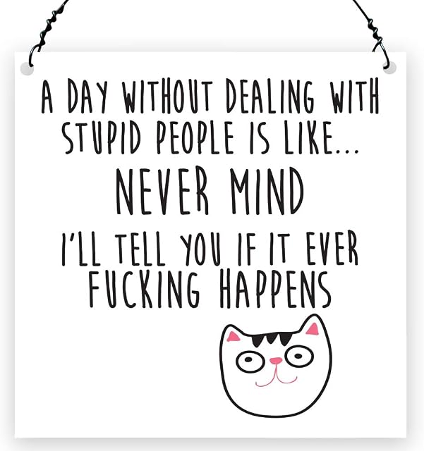Dorothy Spring A Day Without Dealing With Stupid People Is Like Never Mind Sarcastic Small Gift For Friend, Office, Metal Sign & Plaque Size 4x4 inch