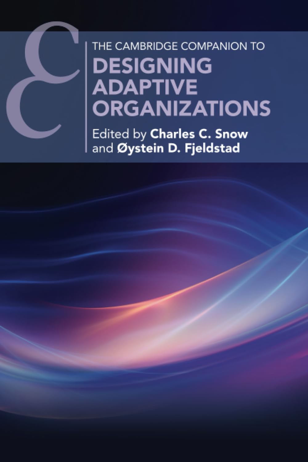 Designing Adaptive Organizations (Cambridge Companions to Management)