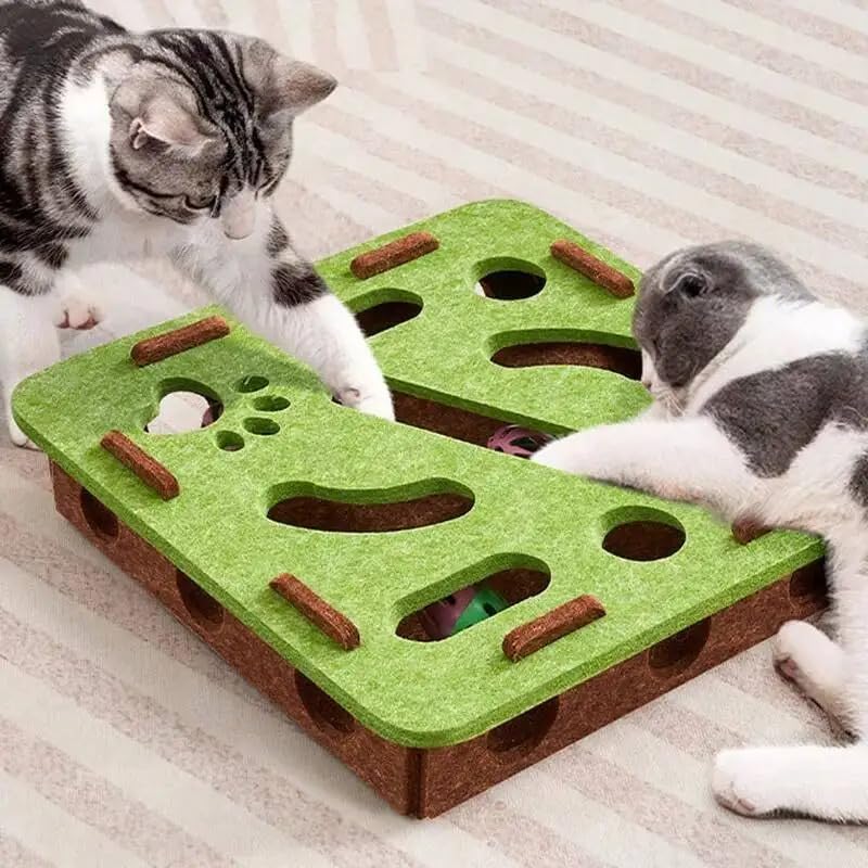 Petzen Interactive Cat Puzzle Toy with 2 Balls, Scratch Enrichment Mental Stimulation Box for Indoor Cats