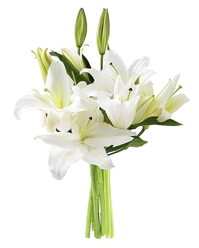KaBloom PRIME ORVERNIGHT DELIVERY - Bouquet Oasis of Comfort de 5 lirios orientales blancos