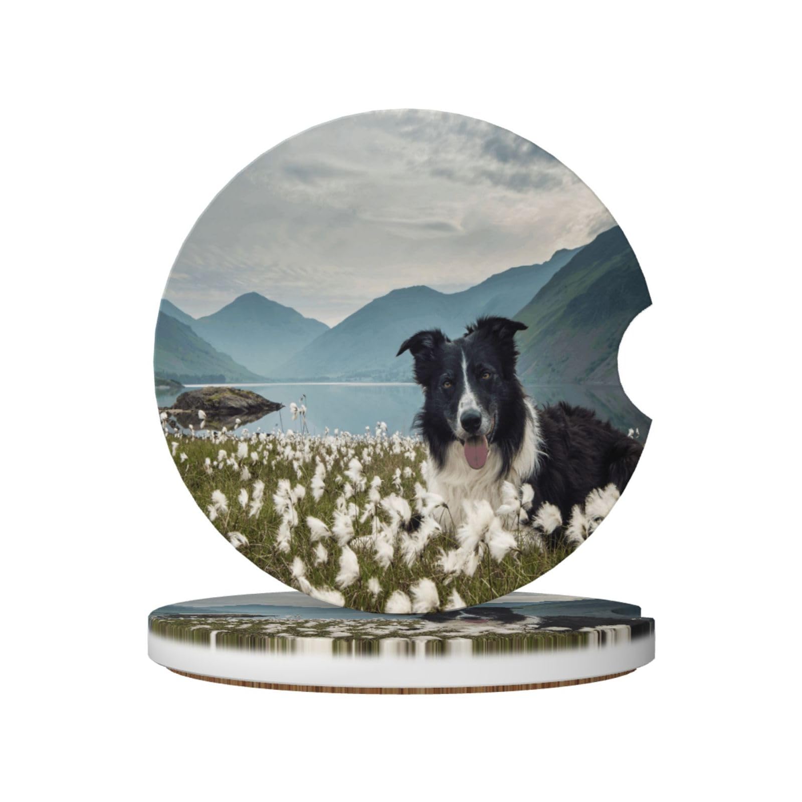 Border Collie Dogs Pets Grassland Black Border, Car Cup Holder Coasters 2 Pack, Absorbent Ceramic Car Coasters with Non Slip Cork Base