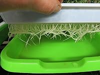 Review Image by Judy L.