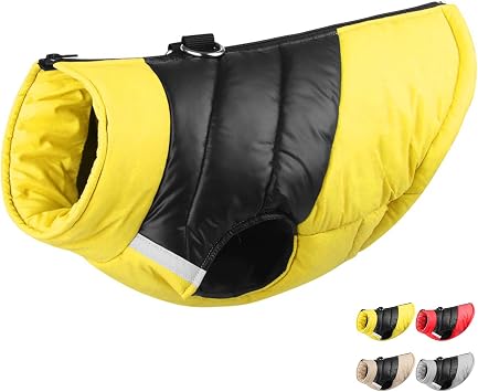 ETIAL Reflective Dog Cold Weather Coat, Windproof Dog Jacket with Zipper & Double D-Ring for Walking Hiking, Waterproof Dog Clothes for Winter to Keep Small Medium Large Dogs Warm Yellow,M