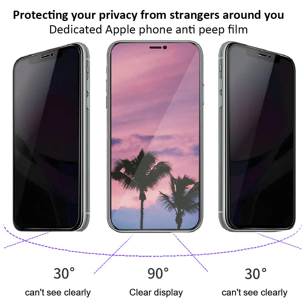 BRELIE Custodia Magnetica Trasparente Per IPhone 16 Pro Max Con Pellicola Privacy E Ricarica MagSafe - 3