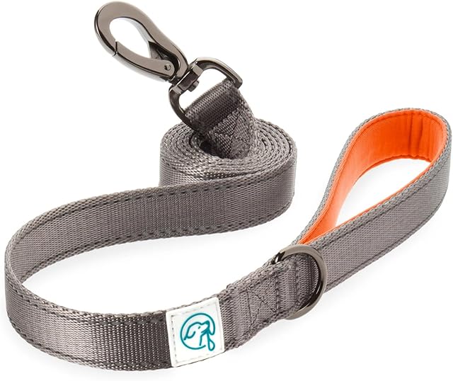 Embark Adventure Dog Lead - Colourful, Strong and Sturdy Nylon Dog Leads for Small Dogs, Dog Leads Medium Dogs and Dog Leads Large Breed Dogs, Heavy Duty Dog Leash -Dog Training Lead (Orange Dog Lead)