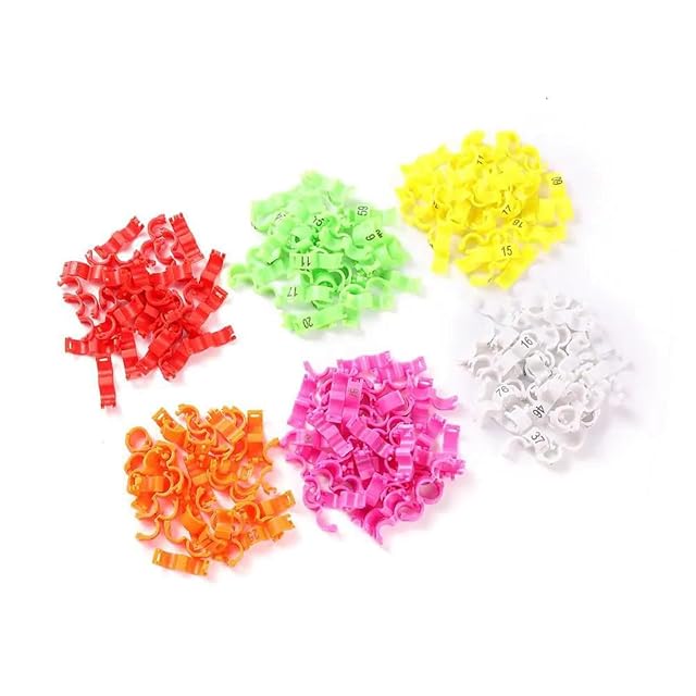 Foto 2 de 7 de 100 piezas diámetro interior 2,7-5 mm, anillos de clip para canarios, palomas, loros pequeños