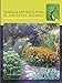 Gardening with Native Plants in the Upper Midwest: Bringing the Tallgrass Prairie Home (Bur Oak Guide)