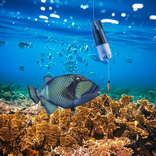 Image of Underwater Fish Camera Professional Fishing Video Recorder System Day and Night Version Waterproof Fishing Watcher Underwater Research with Rechargeable Battery