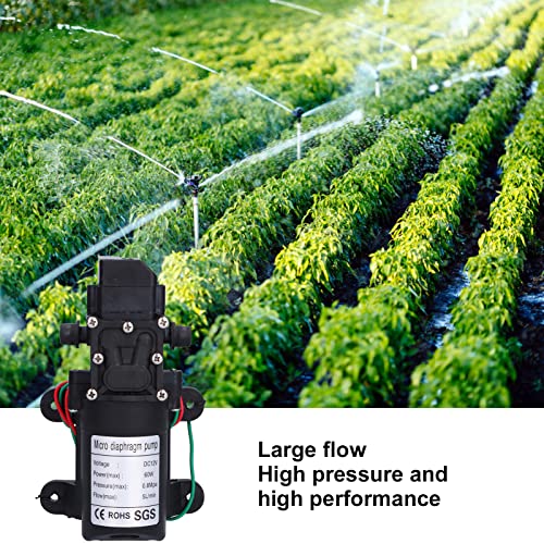 Pompe à eau DC 12 V 60 W pompe à membrane à pression d'eau