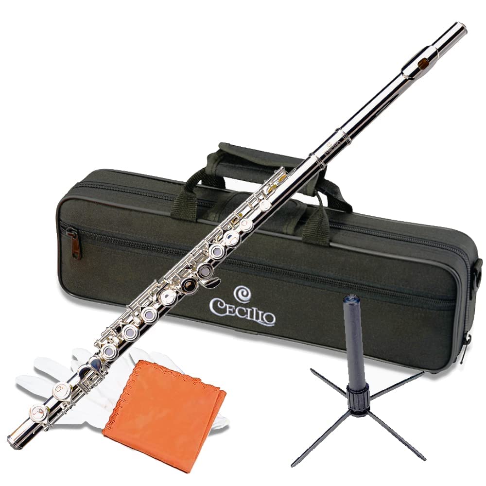 Cecilio Closed Hole C Flute - Musical Instrument, Kids Beginner/Intermediate Flute in Band & Orchestra, Nickel ???