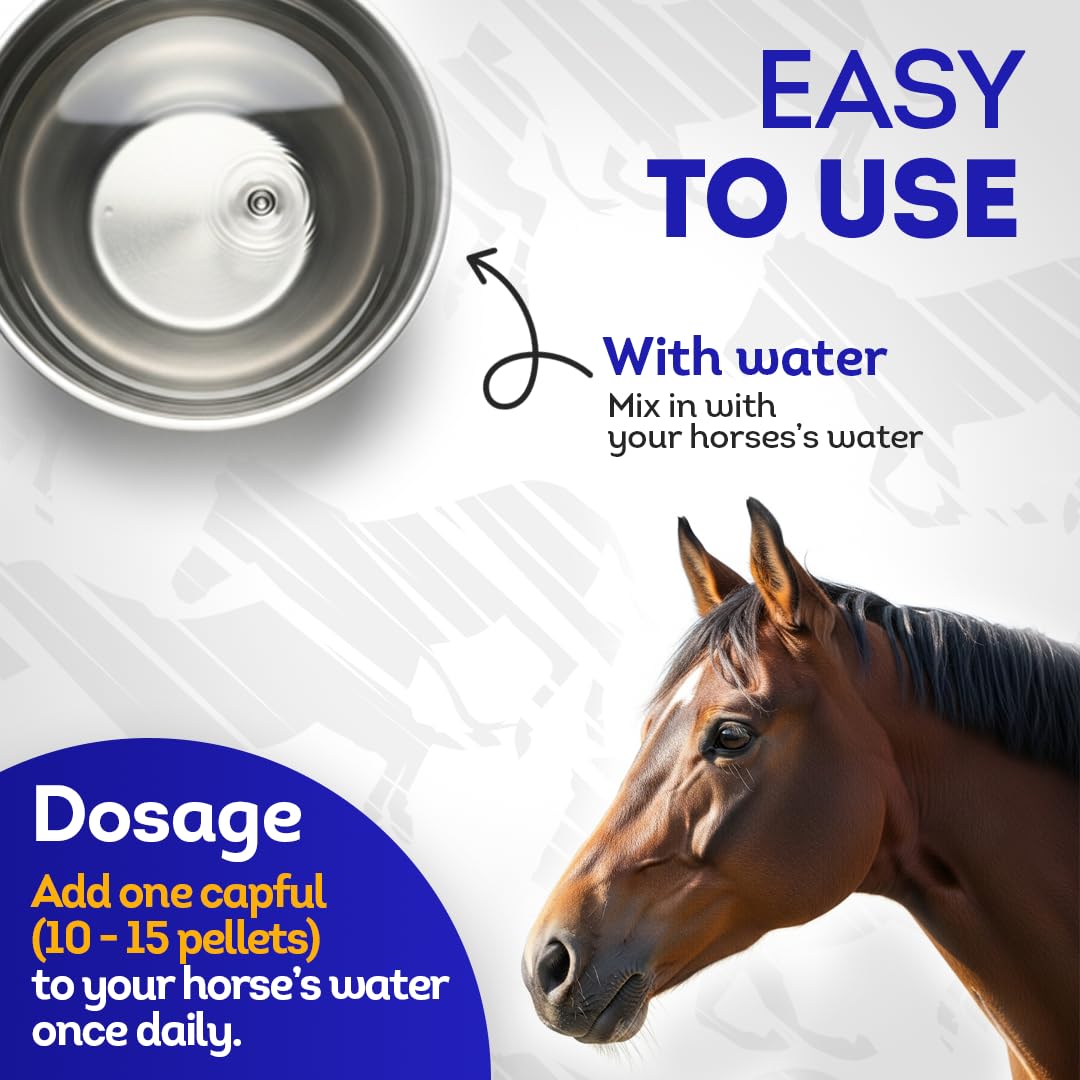 HA4E - Horse Respiratory Issues Support - Helps Prevent Heaves, Allergies & Infections – Highly Effective, Natural Homeopathic Supplement - 300 Tablets — Amazon image 4