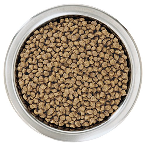 PRO PLAN Dog 700g Puppy MINI Chicken