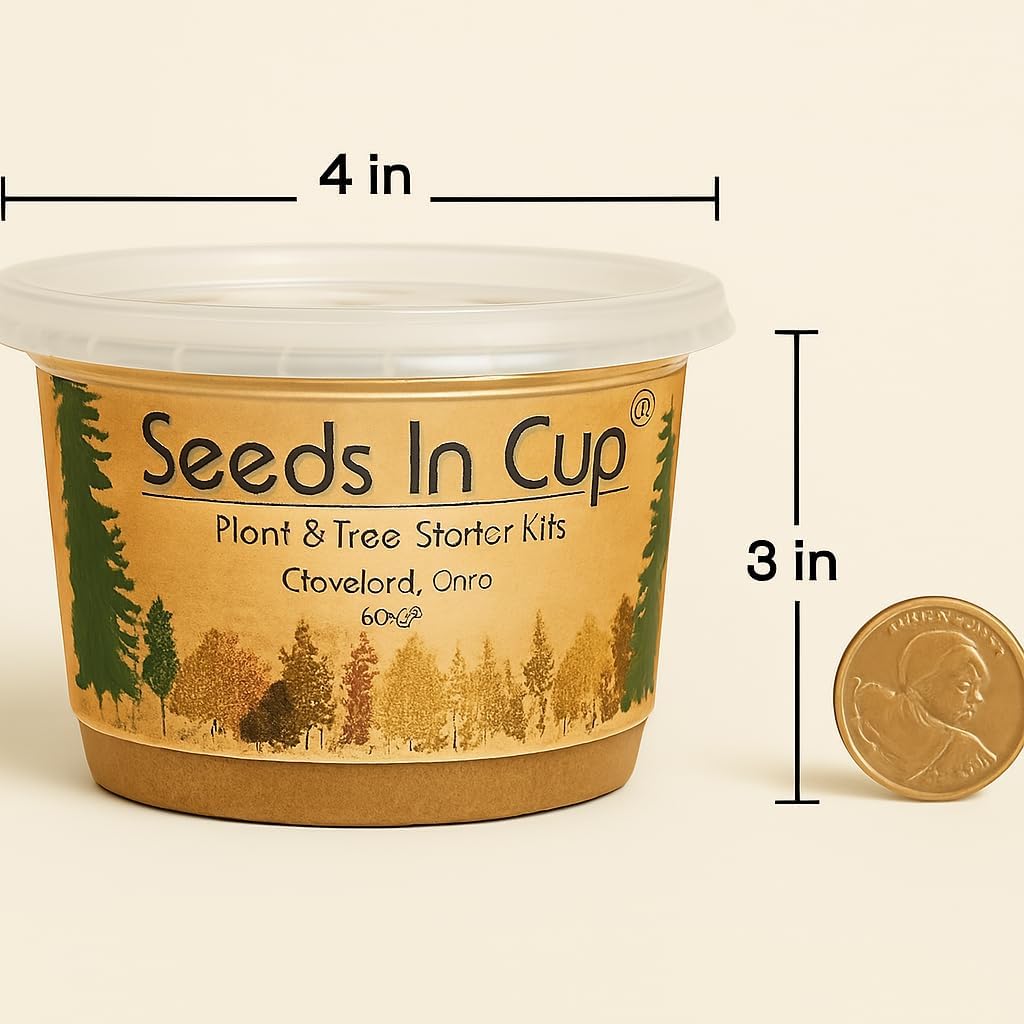 Seeds In A Cup® Custom Garden in A Box – 10-Pack Grow Kit with 50+ Vegetable & Herb Seed Options, Complete Indoor/Outdoor All-in-One Gardening Starter for Beginners, Families & Food Love