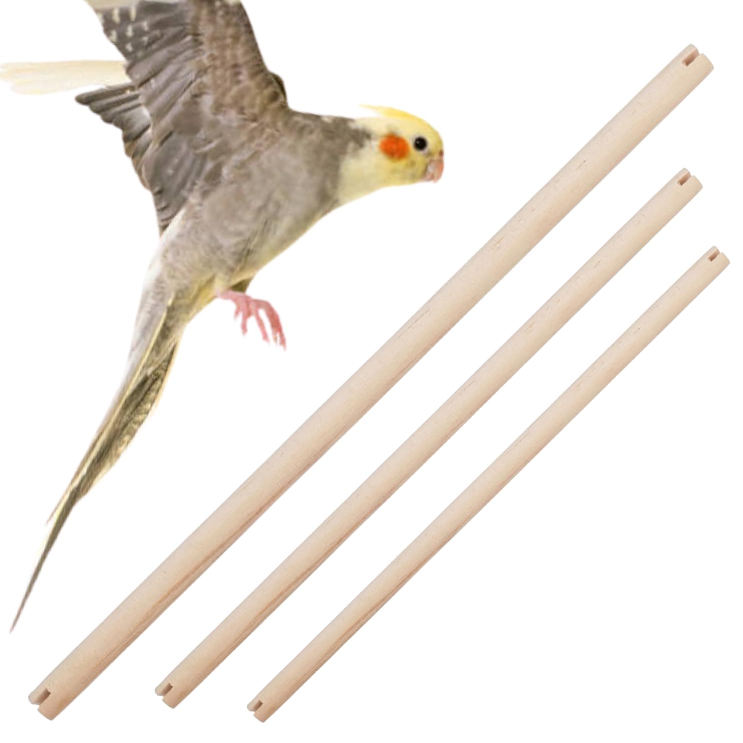 Sage Square Natural Wood Bird Perch for Cage - Promotes Healthy Feet and Nails, Perfect for Parakeets & Cockatiels, Natural, Durable & Comfortable Roosting Spot for Your Feathered Friend (Pack of 3) (B0D3D8ZCFK) Amazon Price History, Amazon Price Tracker