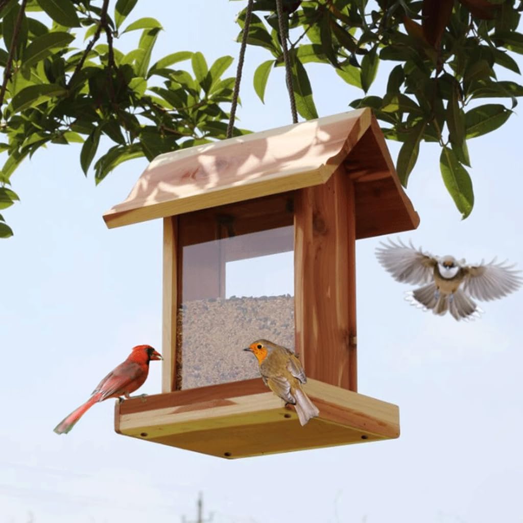 Jaula de Semillas acrílicas Concisa, comedero de Madera para pájaros, comedero para pájaros de Alta Resistencia para Colecciones de jardín, Amantes de Las Aves Comederos para pájaros