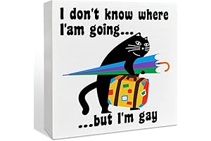 LGBTQ Wooden Box Sign: Rainbow Home Decor for Pride Month