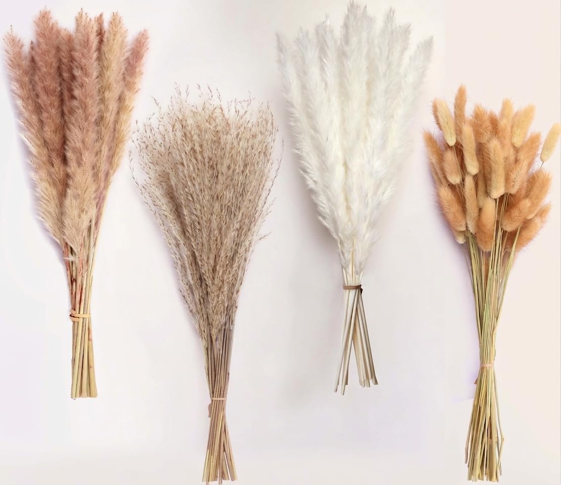 Photo 1 of Dried Pampas Grass, Boho Decor 130PCS Natural Phragmites Grass + Brown & White Pampas Grass + Bunny Tails Flowers Bouquet for Wedding Floral Arrangements Home Table Wall, Rustic Farmhouse Party