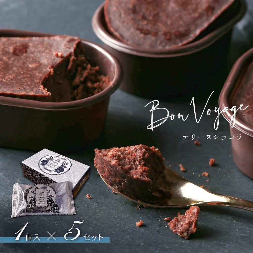 チョコレート 高級 21 おしゃれ ギフト テリーヌショコラ 濃厚 生チョコ チョコレート プレゼント スイーツ お配り 個