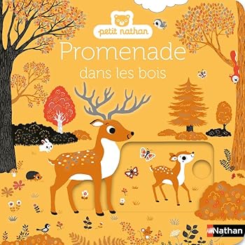 Hardcover Promenade dans les bois [French] Book
