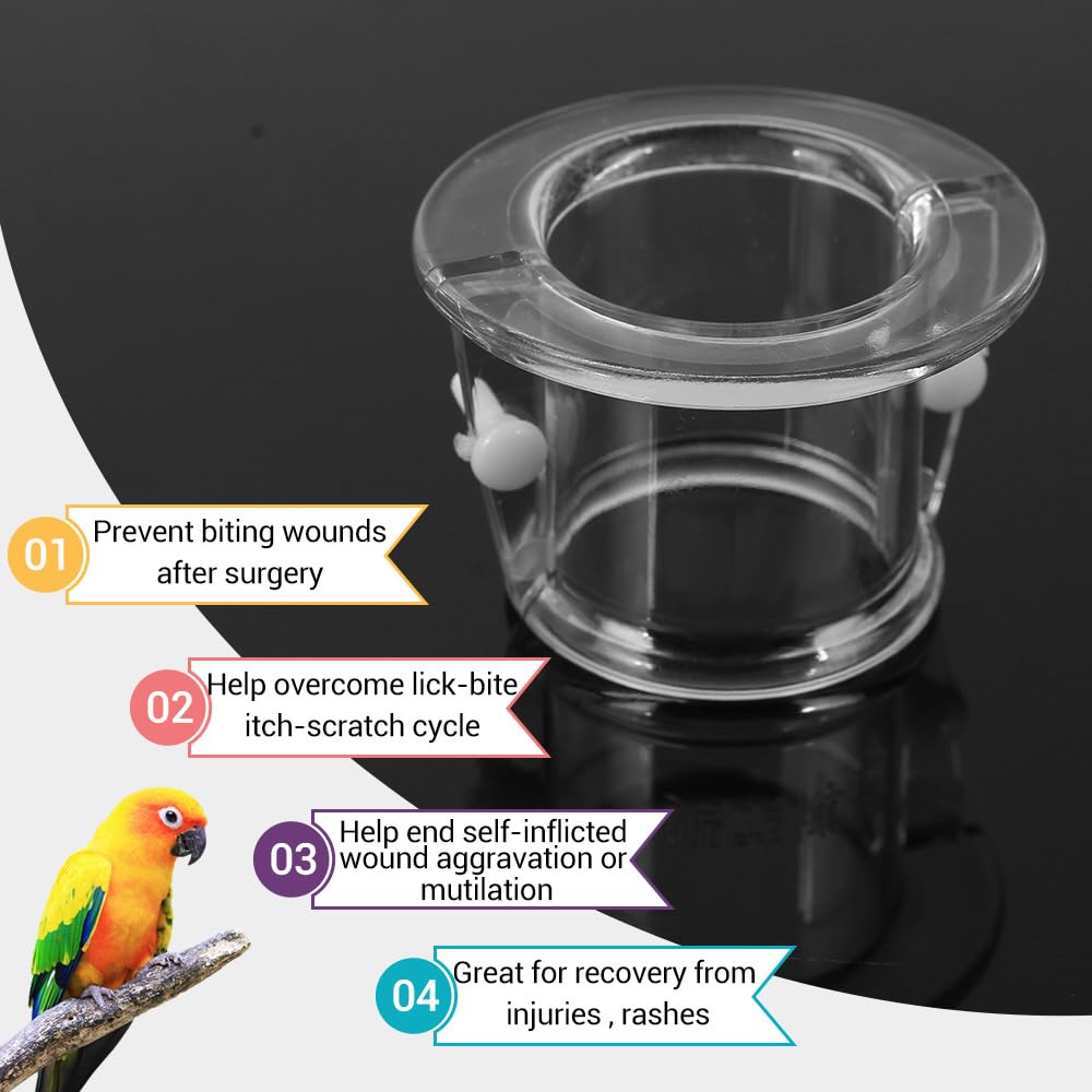 Pet Parrot Anti-bite Collar, Bird Wound Healing Neck Cover Bird Protective Recovery Cones for Chickens Parrot Necklaces - Image 3