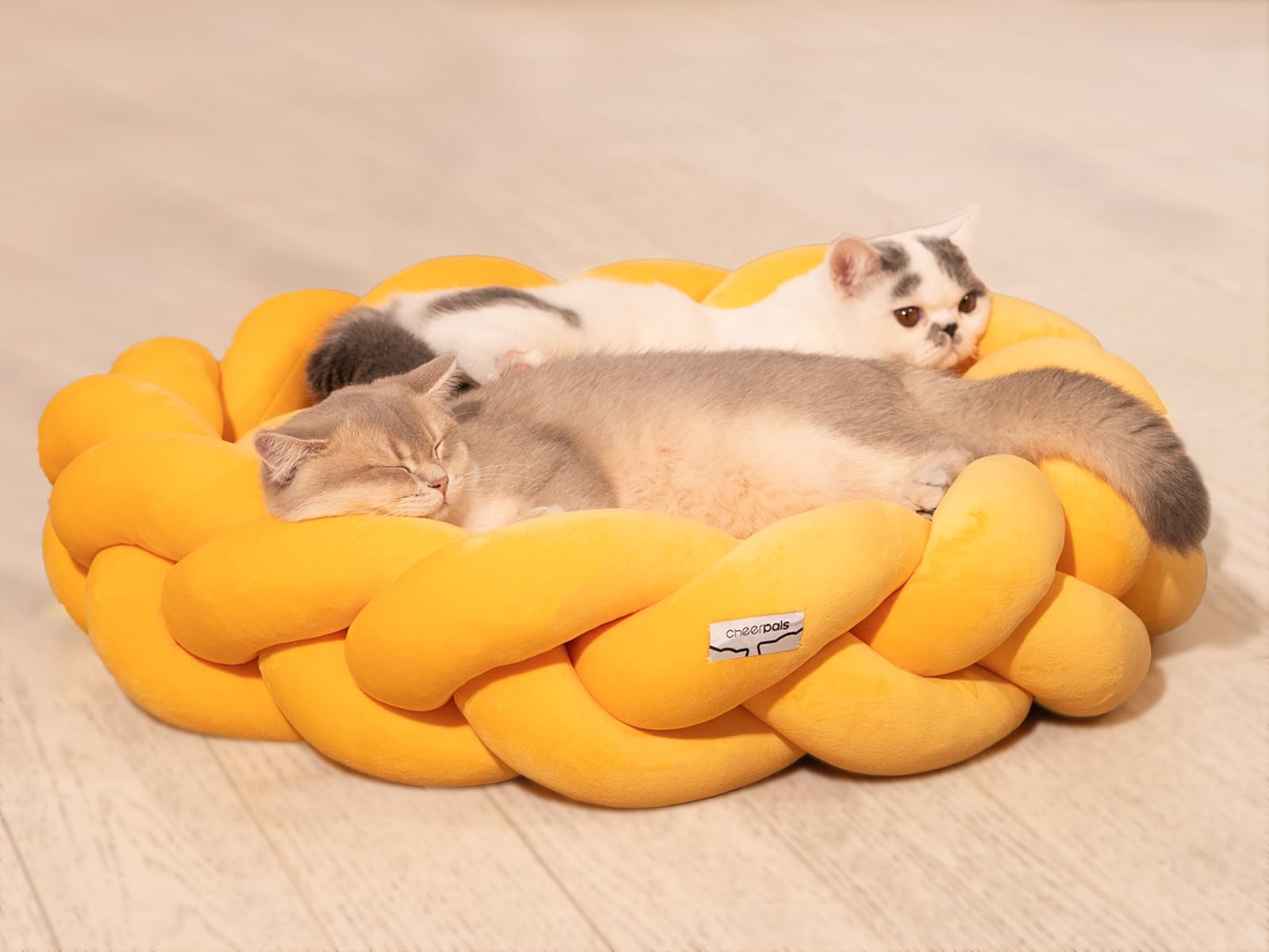 CheerPals Großes Katzenbett 60cm, Waschbar Geflochtenes Kuschelhöhle, Hundebett mit Hochelastischer Schlafkissen für Alle Katze und Kleine Hunde