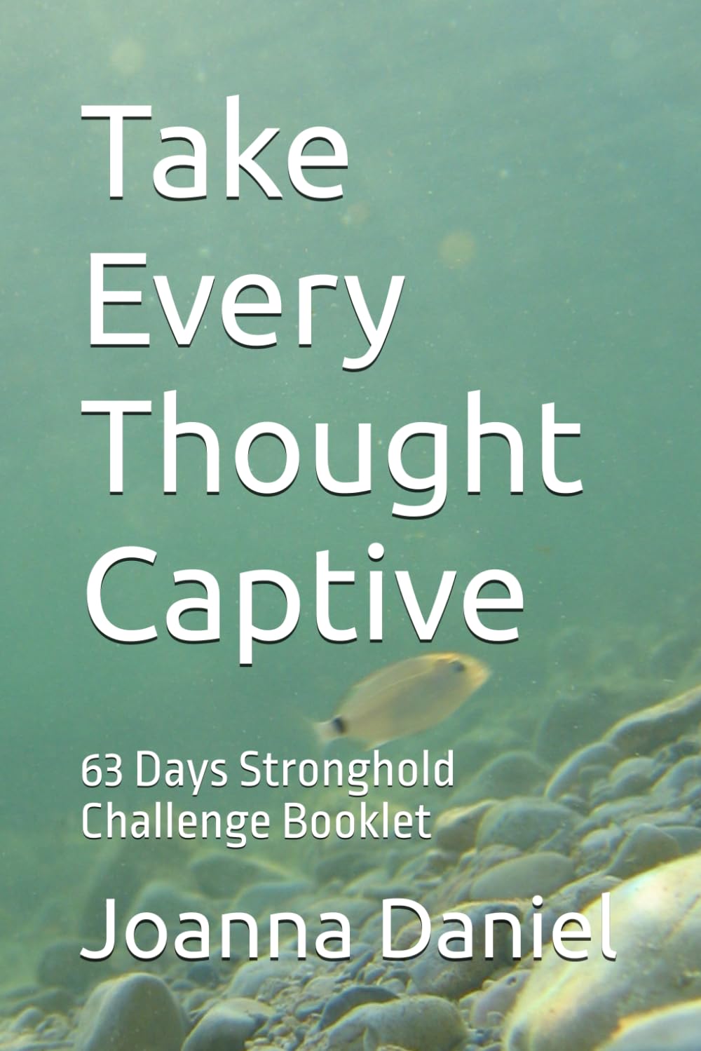 Take Every Thought Captive: 63 Days Stronghold Challenge Booklet