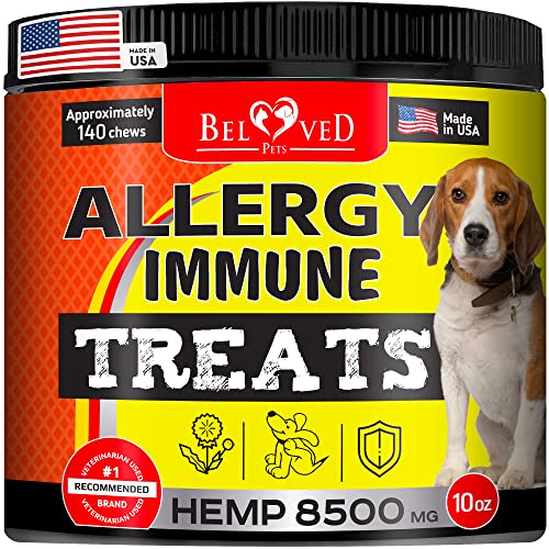 10 Best Dog Food Allergies Treatment Products for a Happier, Healthier