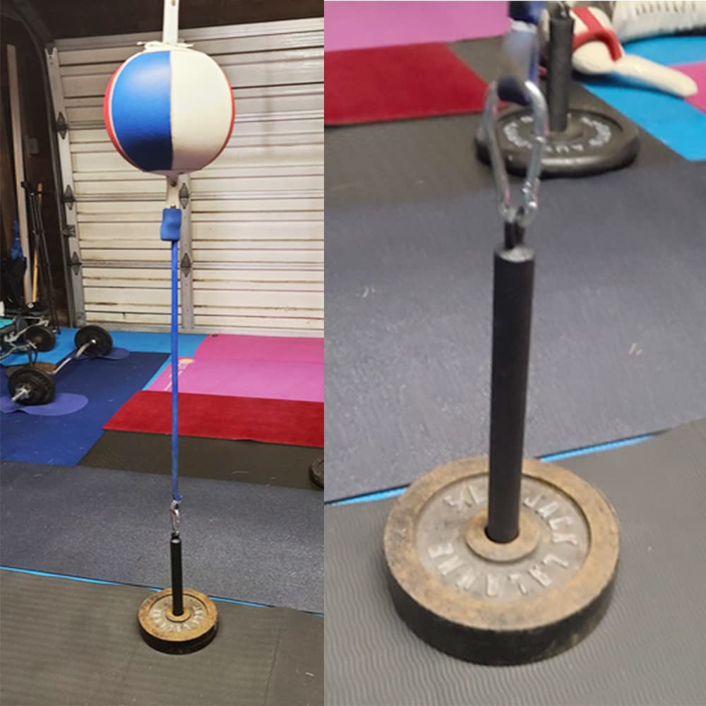 Weight Plate Loading Pin with Carabiner fit 1 inch Weight Plates and 2 inch Olympic Plates for Cable Pulley System LAT Pulldown,Weights Lifting Holder Home Gym for Muscle Strength Training