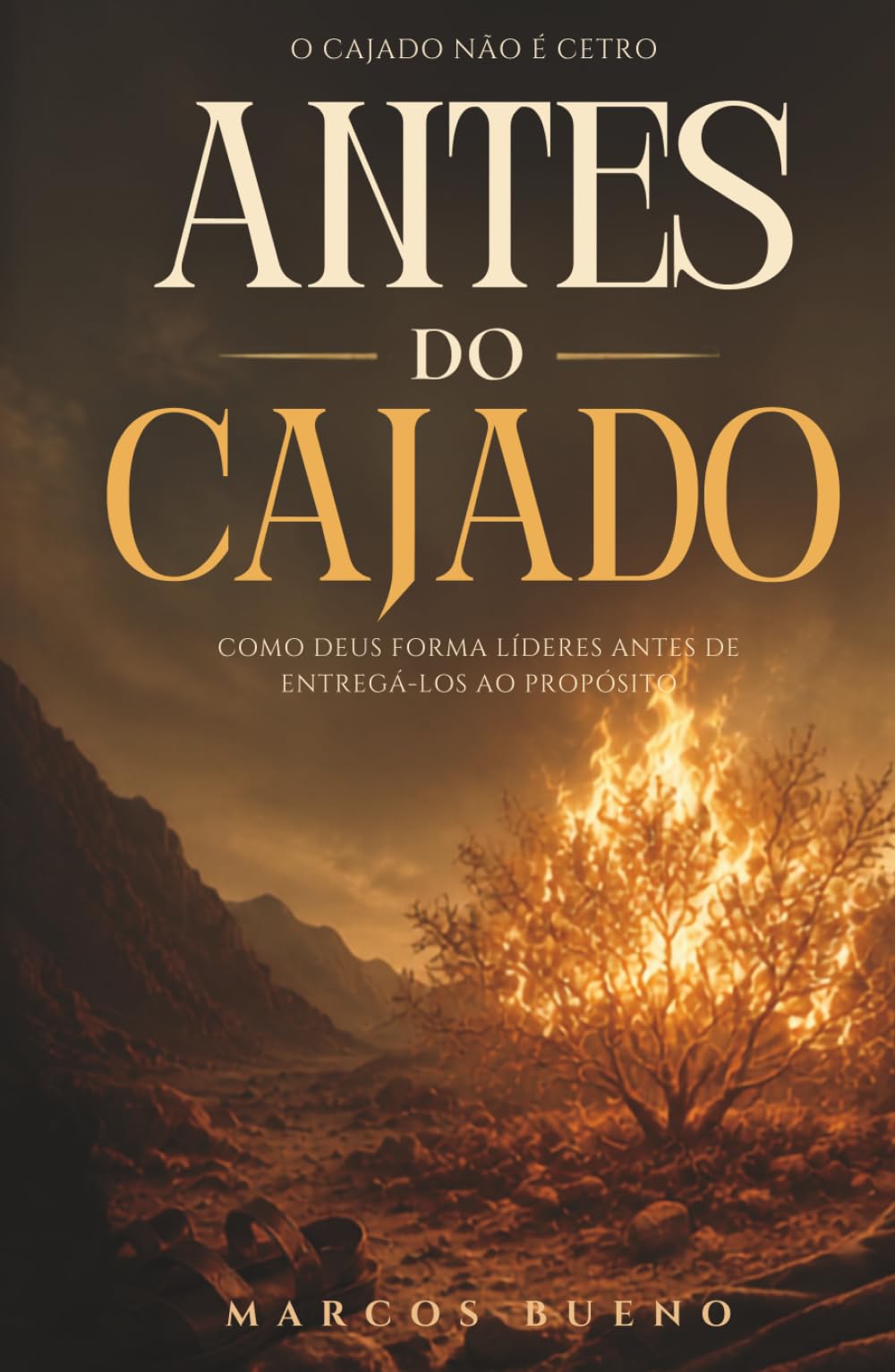 Antes do Cajado: Como Deus forma líderes antes de entregá-los ao propósito