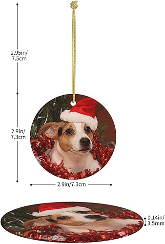 Miniatura 3 de Adornos personalizados para perro para árbol de Navidad 2024 con imagen de perro, foto nombre, adorno personalizado para gatos y mascotas, Photo6
