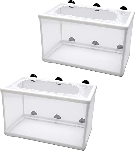 Anxingo Paquete de 2 redes para criadores de peceras, caja de incubación de aislamiento de peces, caja de incubación de marco de plástico, caja de