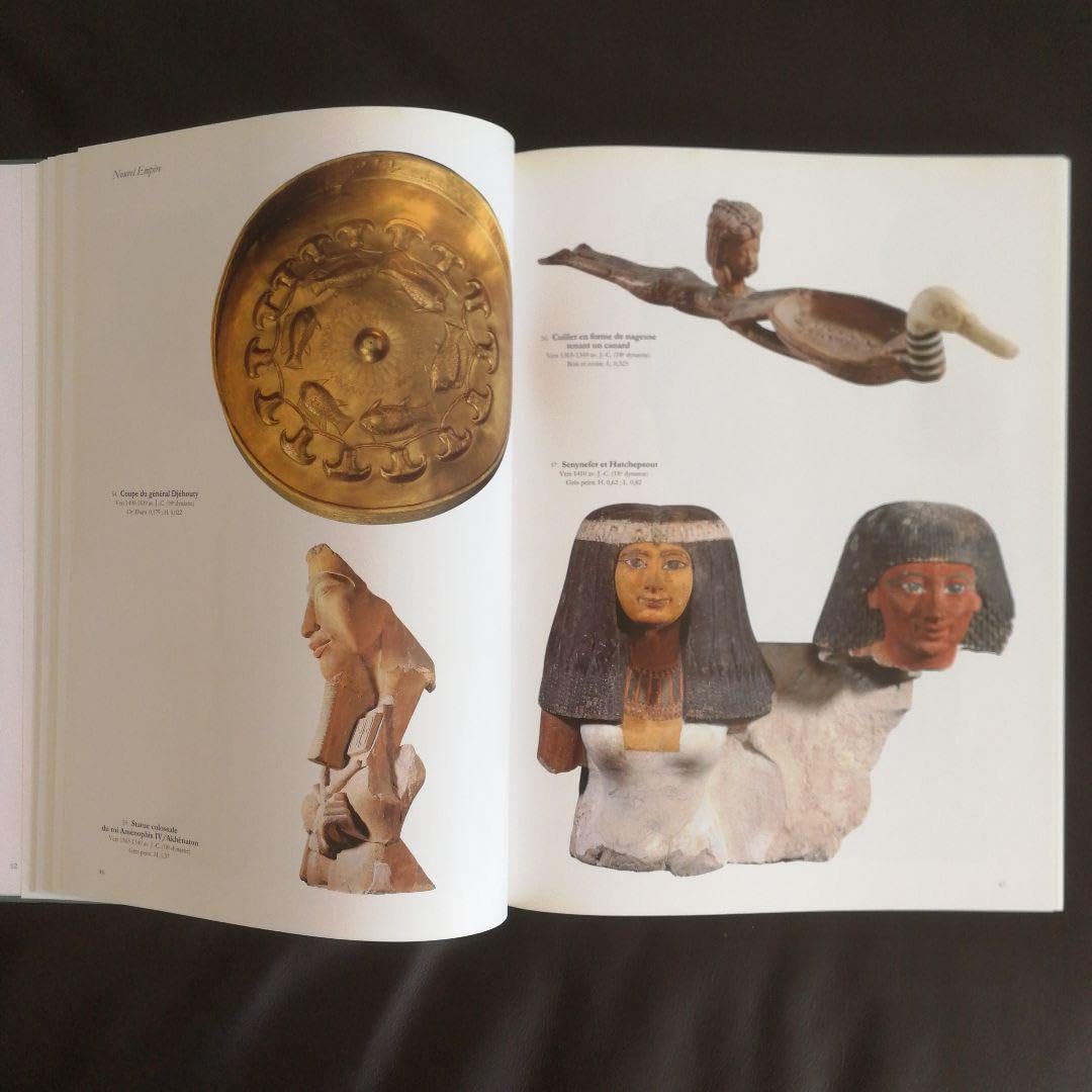 Amazon.co.jp: 図録 ルーブル美術館 「ルーブルの傑作」 フランス語  