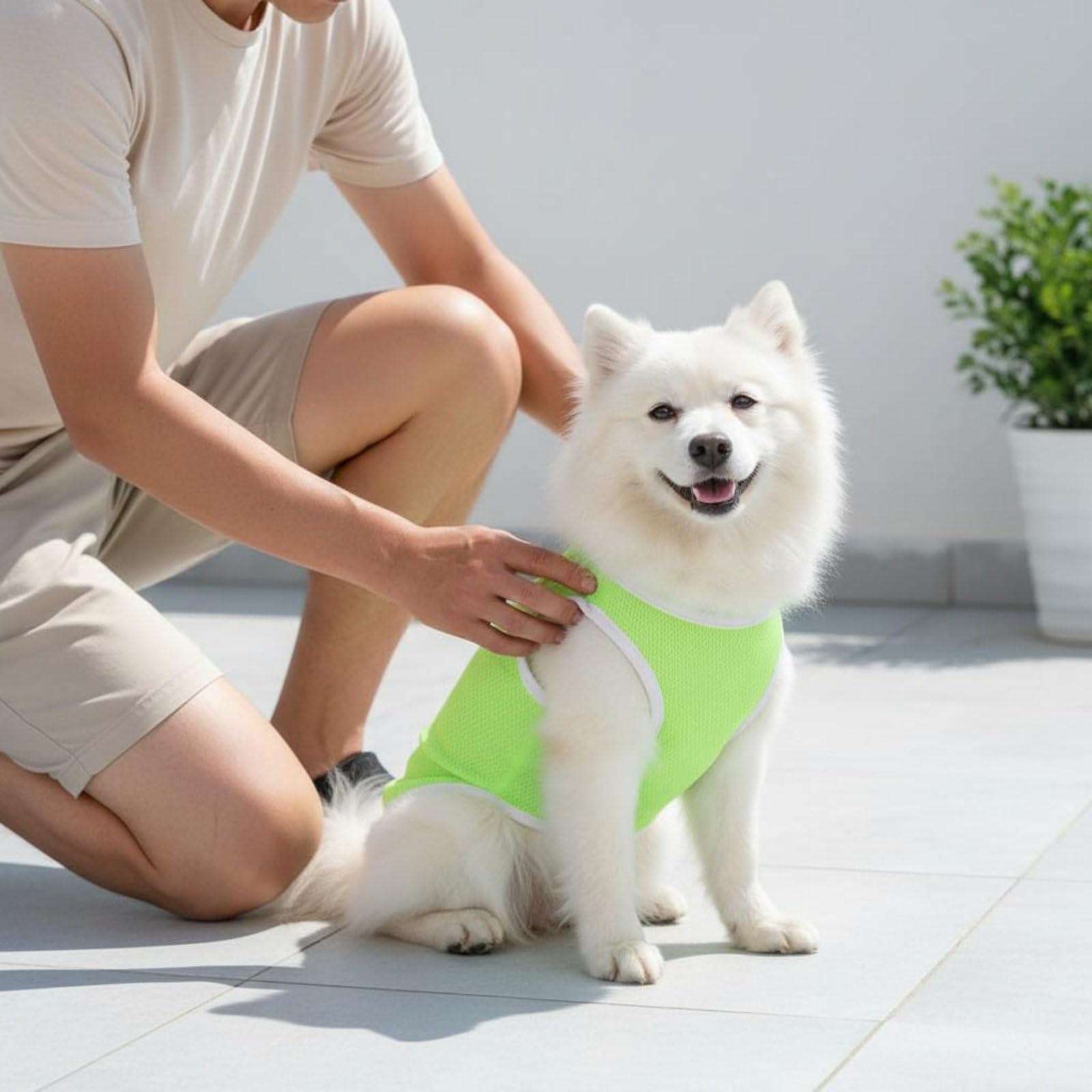 Baoblaze Gilet Industriale Canino Maglietta Cane Canotta Cani Pettorina Leggera in Tessuto a Rete Che Favorisce Ventilazione E Riduce Sporco da Esterno Adatto, Array, Verde Fluorescente, XL