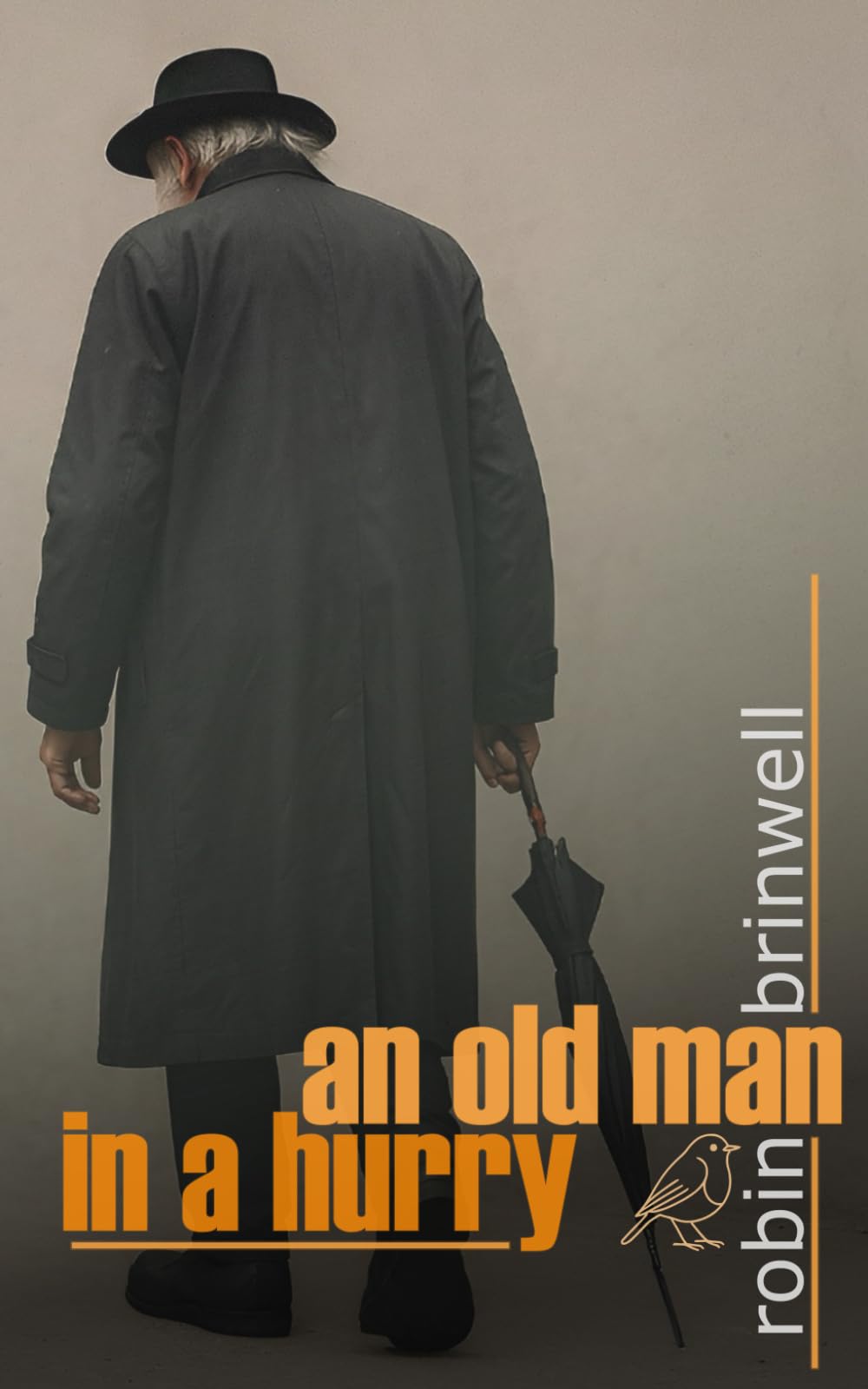 An Old Man In A Hurry: A Speculative Novella of Obsession and Ruin