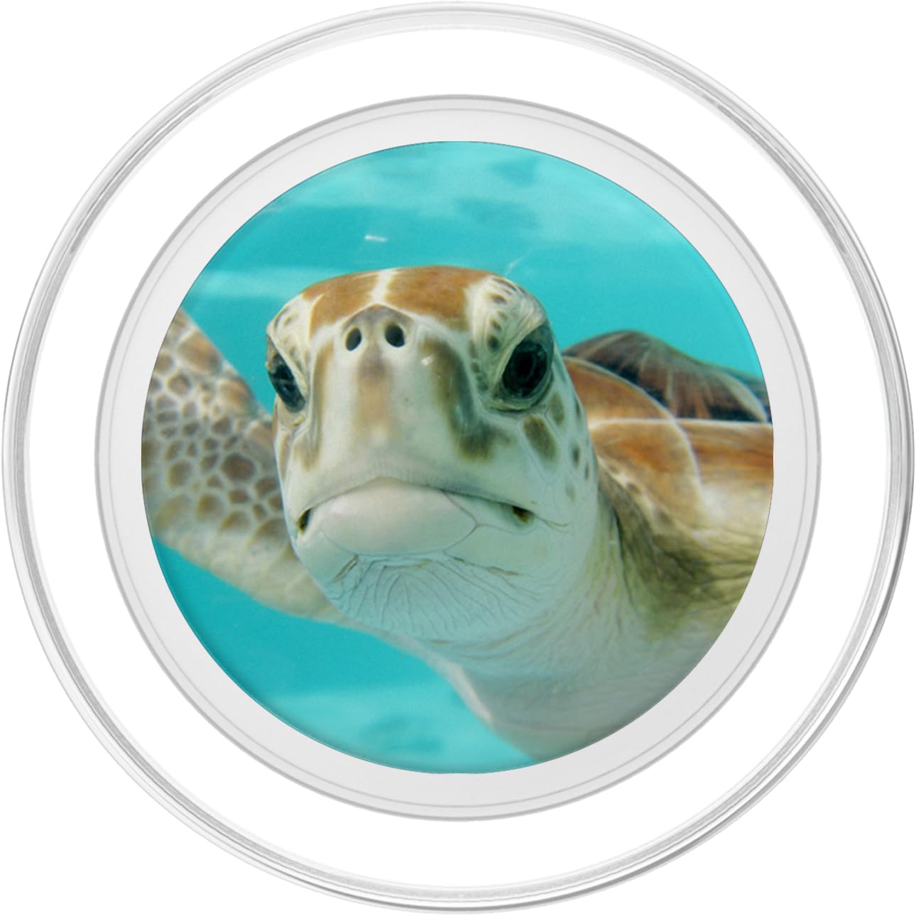 Pop out Cell Phones holder underwater Ocean Sea Turtles PopSockets PopGrip for MagSafe
