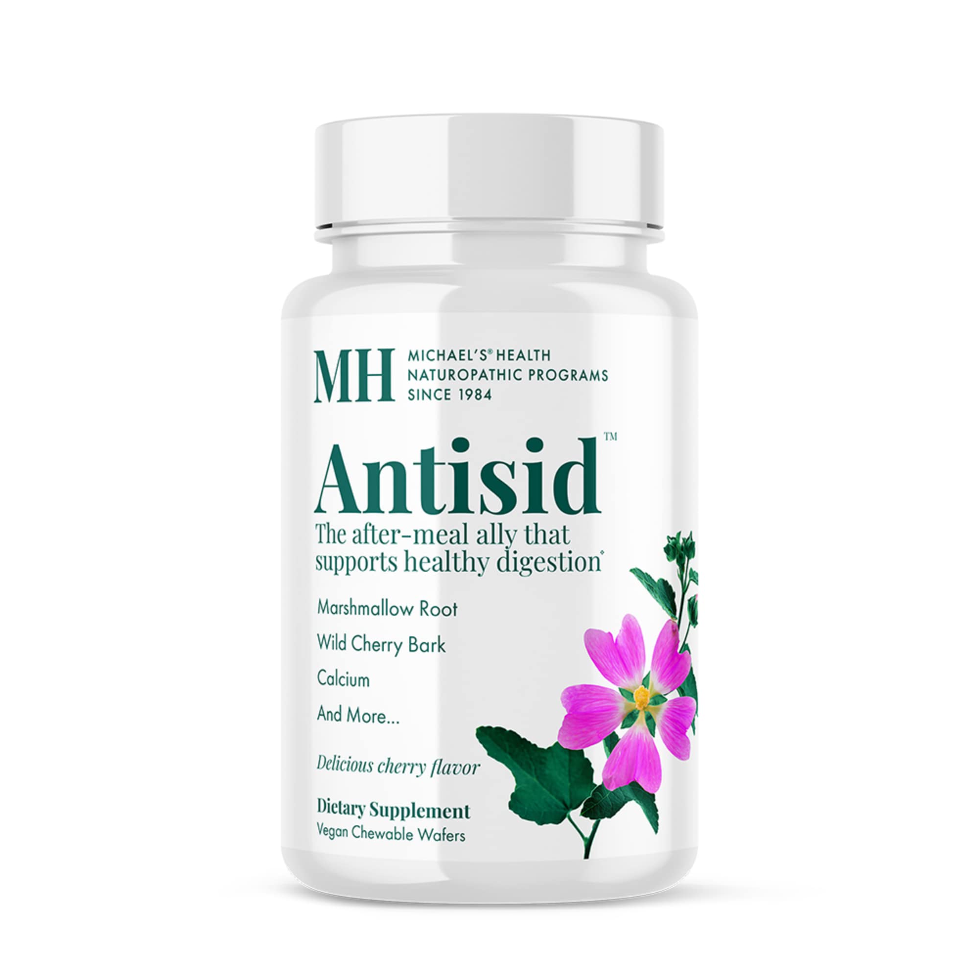 Michael's Health Naturopathic Programs Antisid 60 Count (Pack of 1)