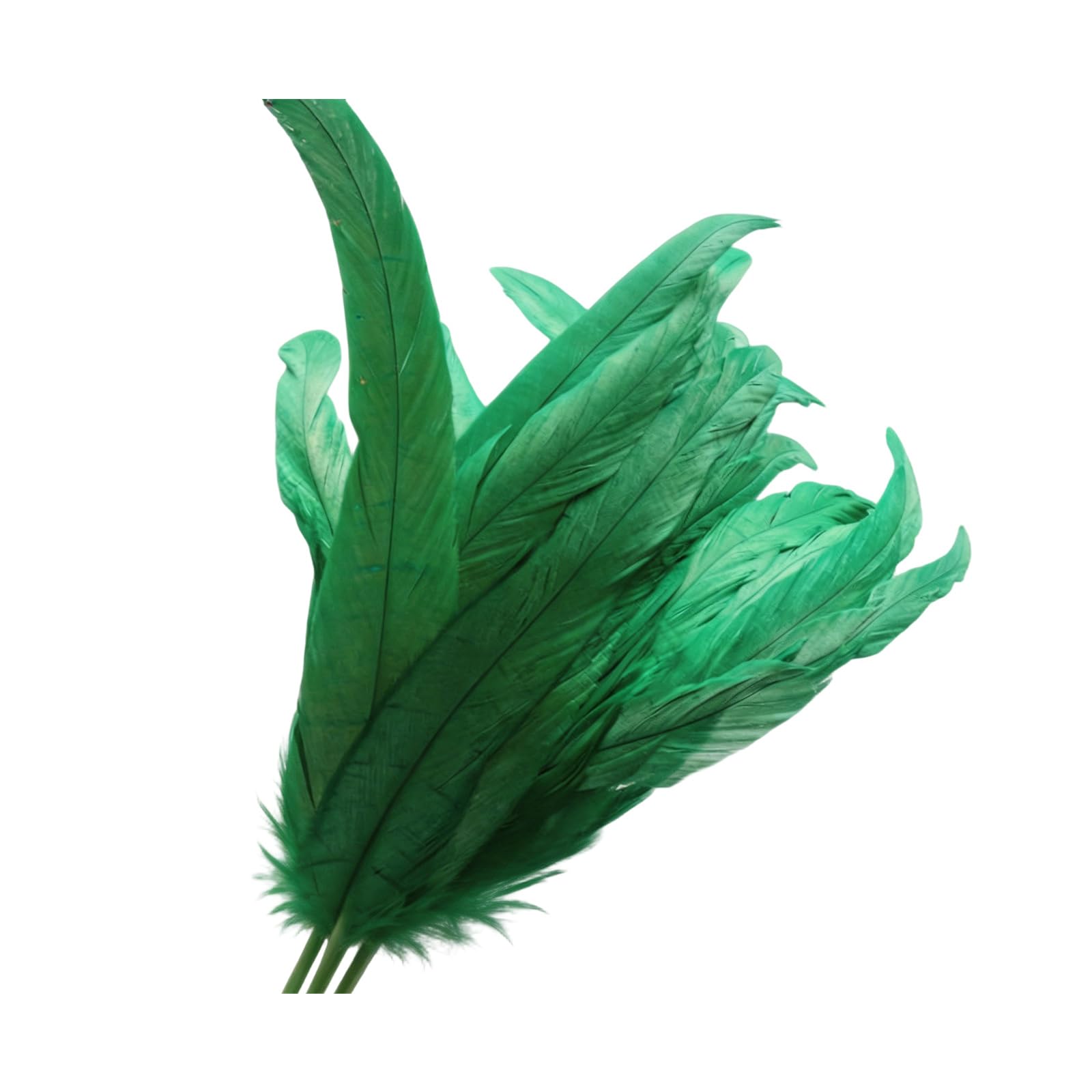 Poystng 40Pcs Natural Plumage 25 30Cm Great for Stage Outfits Long Craft Quills